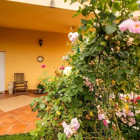 Carmen Villa